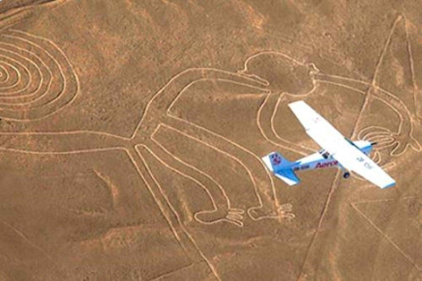 Picture 1 for Activity The Nazca lines & Buggy at Huacachina Oasis - Full day