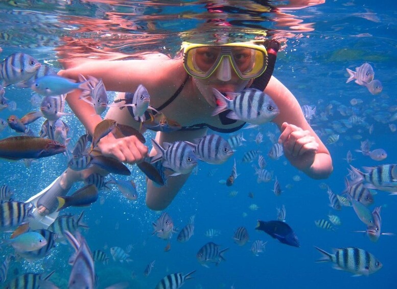 Picture 1 for Activity Gili Trawangan: Islands Hopping Snorkeling Trip