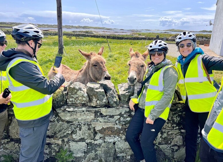 Picture 1 for Activity From Galway: Electric Fat Bike Connemara Private Tour
