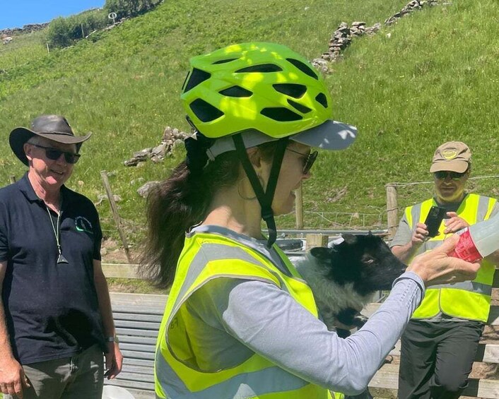 Picture 3 for Activity From Galway: Connemara Electric Fat Bike Private Tour