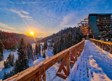 Krakow: Zakopane, Thermal Baths and Gorce Park Treetop Walk