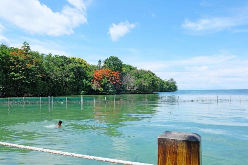 Picture 5 for Activity Boracay Private Land Tour