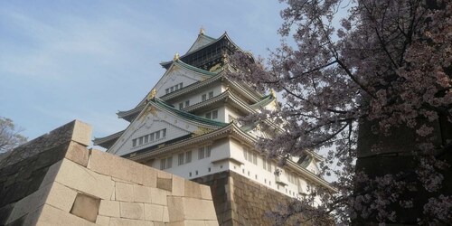 Osaka: Five Must-See Highlights Walking Tour & Ramen Lunch