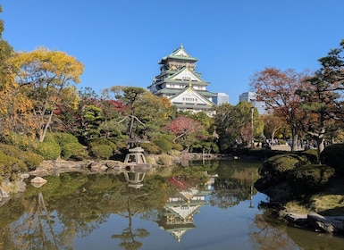 Osaka: Vijf must-see hoogtepunten wandeltour & Ramen lunch