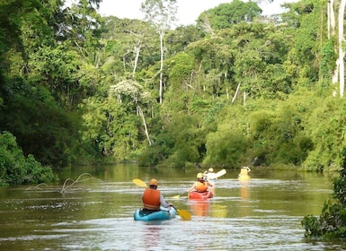 Puerto Maldonado: Kayak and Zip Line Adventure + Monkey Isla