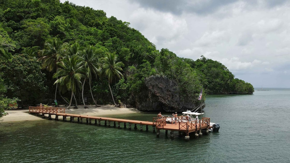 Picture 4 for Activity Miches: Los Haitises, Transfer, Walking & Boat tour.