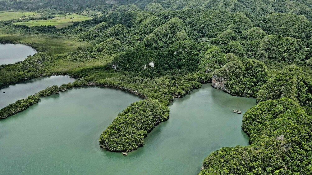 Picture 3 for Activity Miches: Los Haitises, Transfer, Walking & Boat tour.