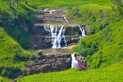 Desde Negombo o Colombo: Excursión de 5 días por las Tierras Altas Centrale...