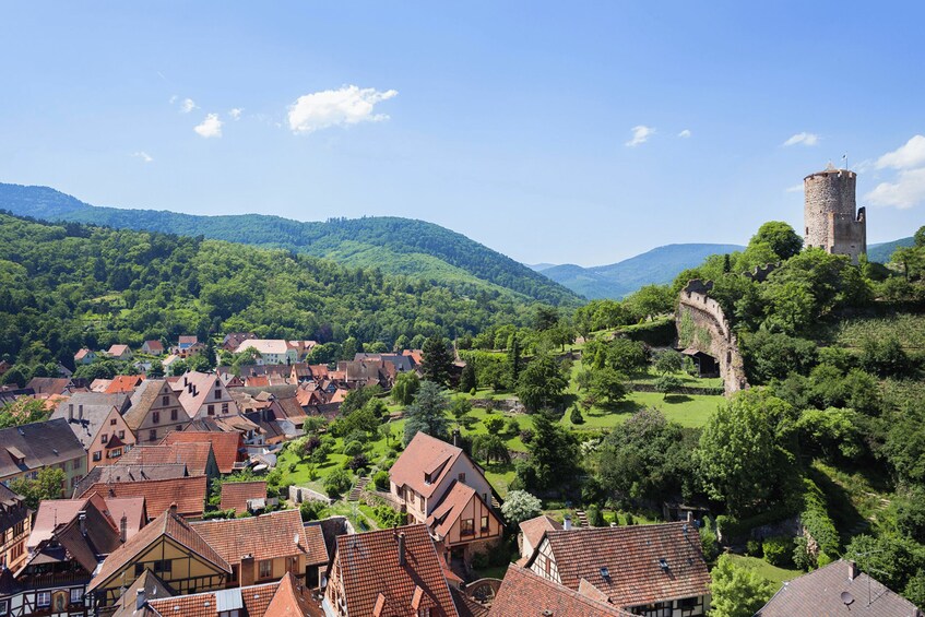 Picture 3 for Activity Kaysersberg: Private Walking Tour