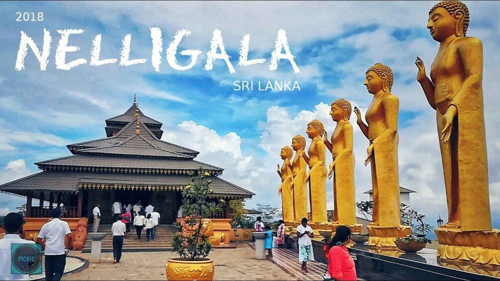 Picture 7 for Activity Kandy Royal Botanical Gardens Peradeniya By Tuk Sri Lanka