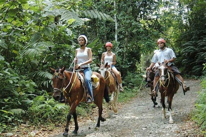 Picture 5 for Activity From Manuel Antonio: Horseback Riding with Lunch or Dinner