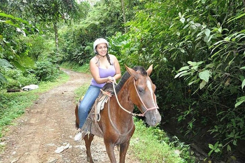 Picture 4 for Activity From Manuel Antonio: Horseback Riding with Lunch or Dinner