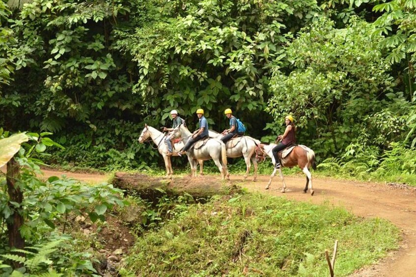 Picture 1 for Activity From Manuel Antonio: Horseback Riding with Lunch or Dinner