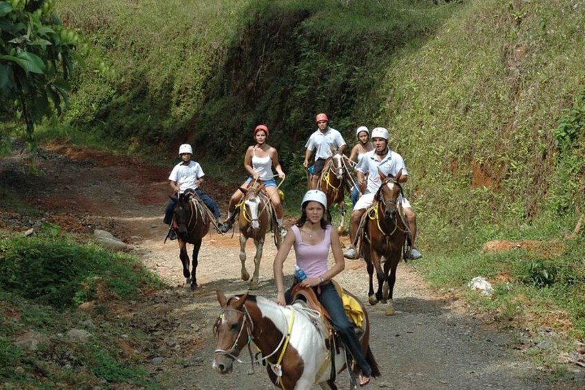 Picture 2 for Activity From Manuel Antonio: Horseback Riding with Lunch or Dinner