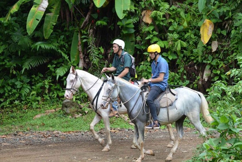 Picture 3 for Activity From Manuel Antonio: Horseback Riding with Lunch or Dinner