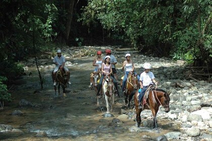 Vanuit Manuel Antonio: Paardrijden met lunch of diner