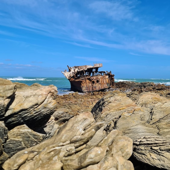 Picture 5 for Activity Cape Agulhas Private Tour