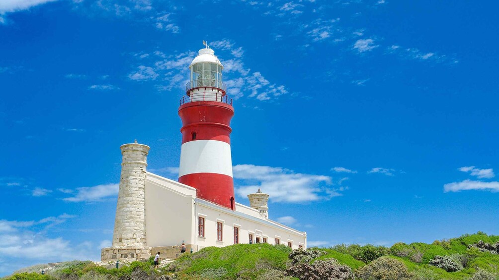 Picture 2 for Activity Cape Agulhas Private Tour
