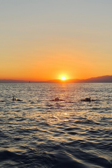 Picture 10 for Activity Portofino Sunset cruise with Aperitif