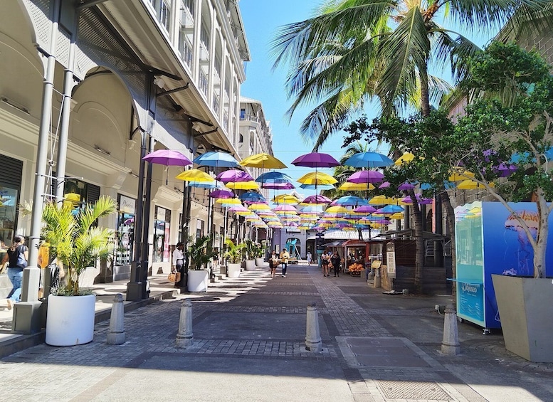 Picture 3 for Activity Mauritius: Full Day Tour of the North with Hotel Transfer