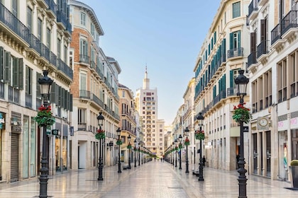 Malaga: Tur Kota Pribadi dengan Tiket Teater dan Katedral