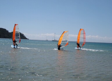 Day 1 beginner Dynamic Windsurfing in Malmö