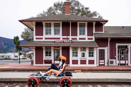 Ventura : Visite guidée à vélo de rail avec arrêt de stand de ferme