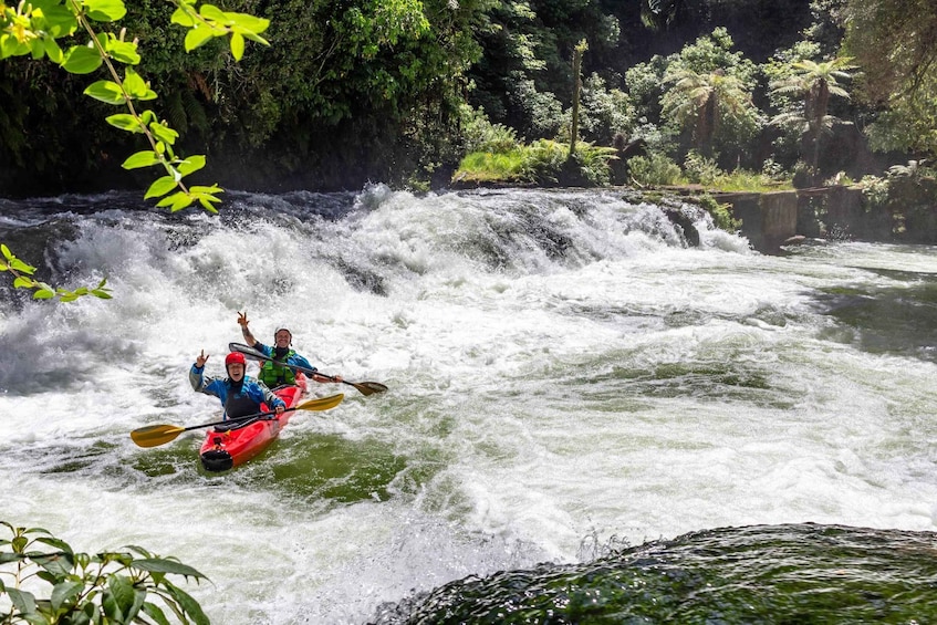 Picture 3 for Activity Epic Tandem Kayak Tour down the Kaituna River Waterfalls