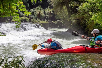 Epic Tandem Kayak Tour down the Kaituna River Waterfalls