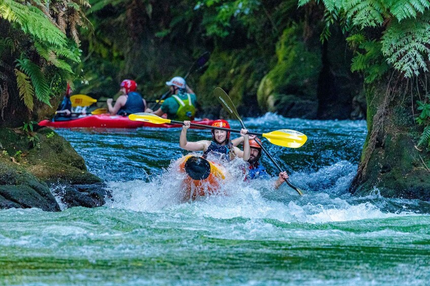 Picture 10 for Activity Epic Tandem Kayak Tour down the Kaituna River Waterfalls