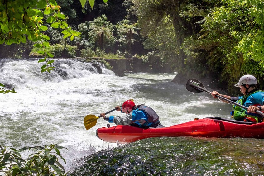 Epic Tandem Kayak Tour down the Kaituna River Waterfalls