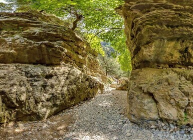 From Heraklion: Imbros Gorge and Libyan Sea Guided Day Trip