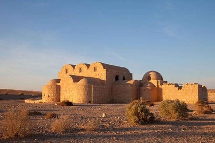 Ammán - Excursión de un día a los Castillos del Desierto y la Reserva del H...