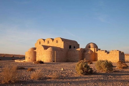 Ammán - Excursión de un día a los Castillos del Desierto y la Reserva del H...