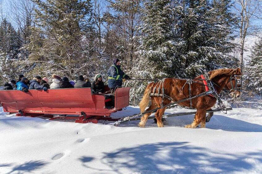 Picture 6 for Activity Mont-Tremblant: Sleigh Ride w/ Storytelling & Hot Chocolate