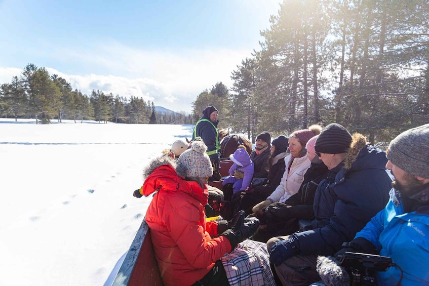 Picture 5 for Activity Mont-Tremblant: Sleigh Ride w/ Storytelling & Hot Chocolate