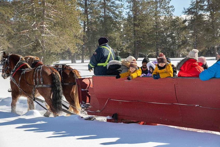 Picture 7 for Activity Mont-Tremblant: Sleigh Ride w/ Storytelling & Hot Chocolate