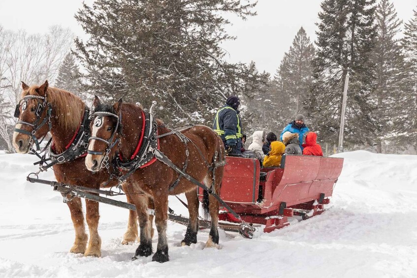 Picture 2 for Activity Mont-Tremblant: Sleigh Ride w/ Storytelling & Hot Chocolate