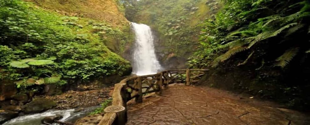 Picture 2 for Activity From San Jose: La Paz Waterfall Gardens Guided Day Tour