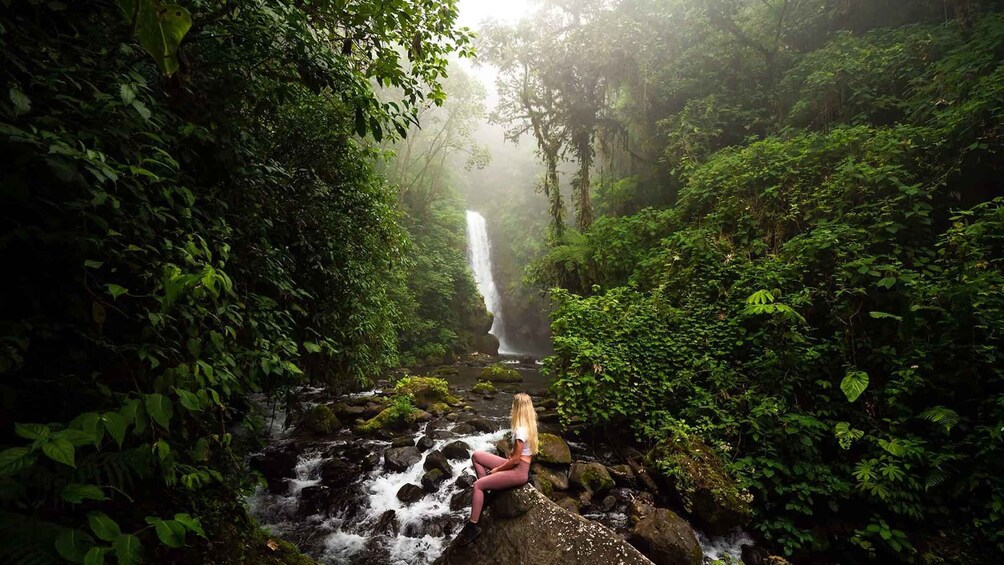 Picture 3 for Activity From San Jose: La Paz Waterfall Gardens Guided Day Tour