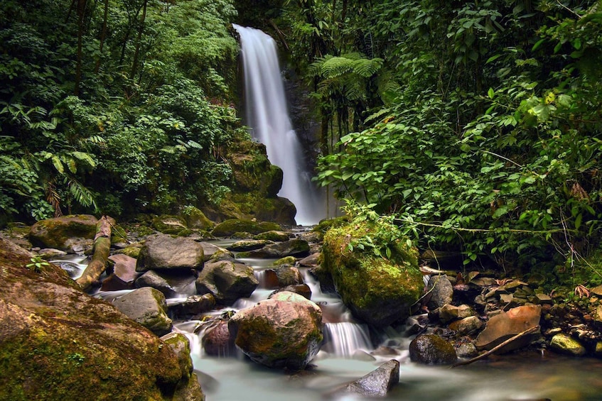 Picture 1 for Activity From San Jose: La Paz Waterfall Gardens Guided Day Tour