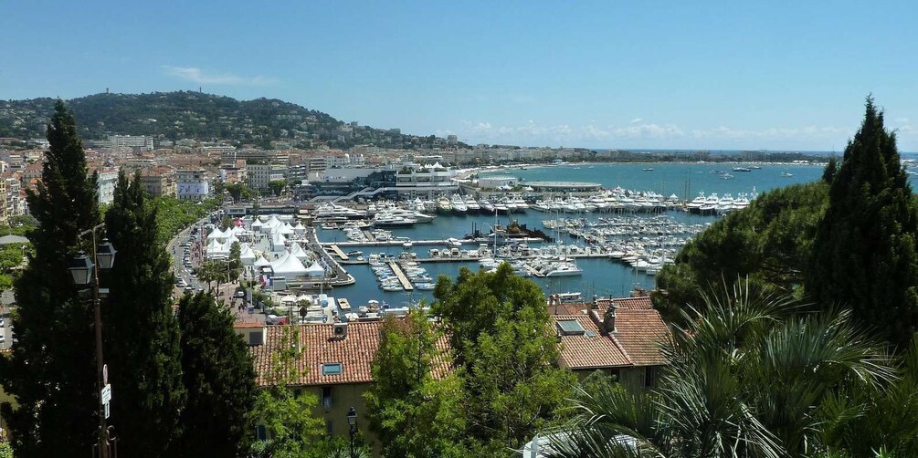 Picture 2 for Activity Cannes: Capture the most Photogenic Spots with a Local