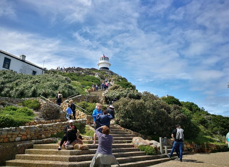 Picture 3 for Activity From Cape Town: Best of Cape Private Tour with Wine Tastings