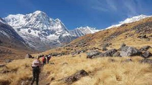 Von Pokhara: Budget 6 Nächte 7 Tage Annapurna Basecamp Trek