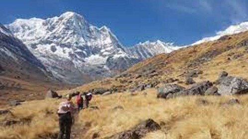 Von Pokhara: Budget 6 Nächte 7 Tage Annapurna Basecamp Trek