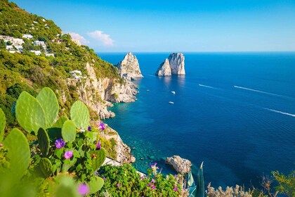 Desde Nápoles: tour privado de Capri, Anacapri y Blue Grotto