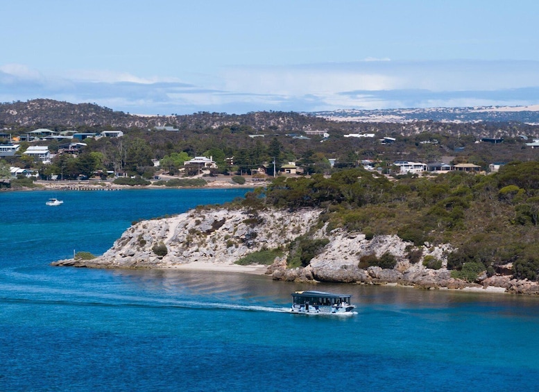 Picture 2 for Activity Coffin Bay: Oyster Farm Cruise with 6 Fresh Oysters