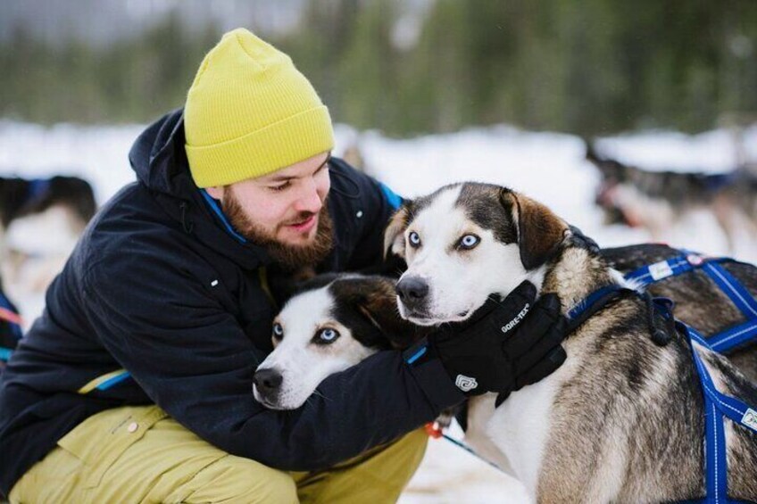 Meeting Santa Claus, the Reindeers and Huskies in Lapland