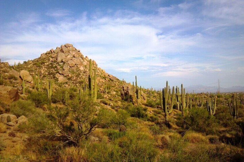 Iconic Tom's Thumb Hiking Adventure in Scottsdale