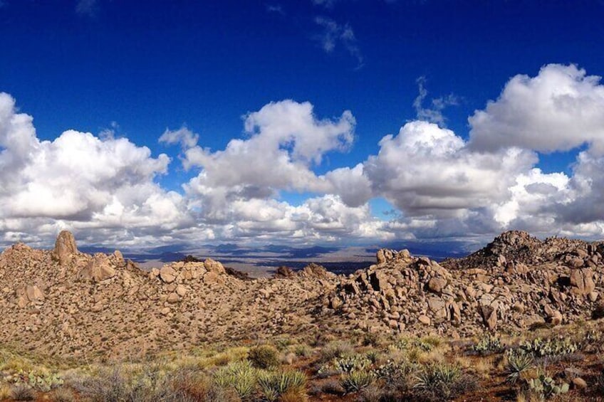 Iconic Tom's Thumb Hiking Adventure in Scottsdale